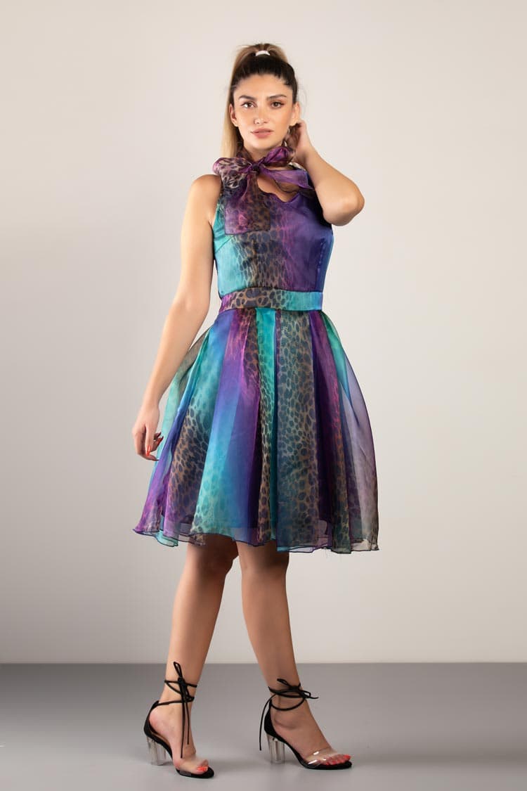 organza printed dress