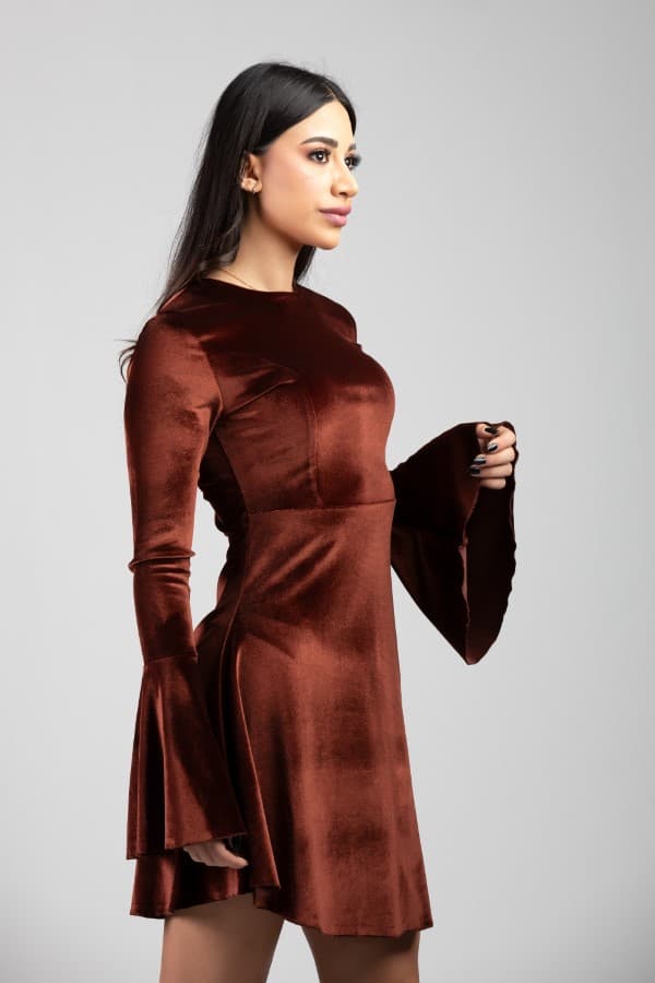 Mini Velvet Dress