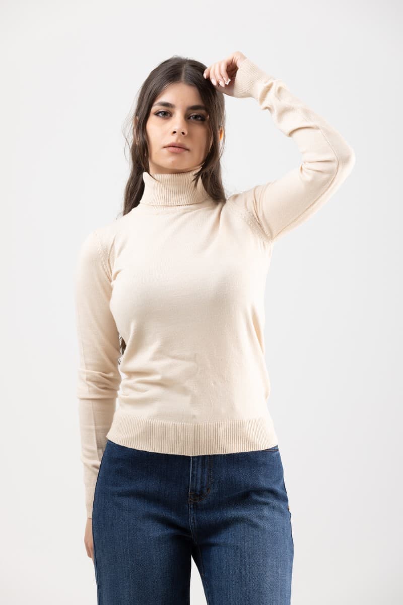 Kintted High Neck Sweater